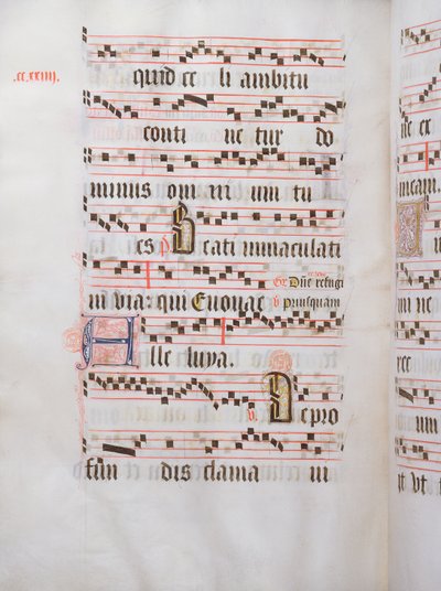Ms 432 Temporal Used by the Sisters of the Congregation of the Carmelites of Bruges, Written by Sister Margarita Bruynewe by Sister Cornelia Wulfekkercke